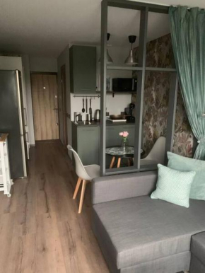 Apartment near Ozas
